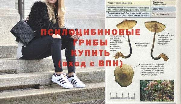 молекула духа Переславль-Залесский