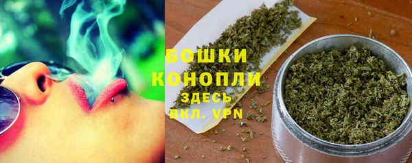 молекула духа Переславль-Залесский