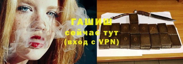 дмт Пересвет