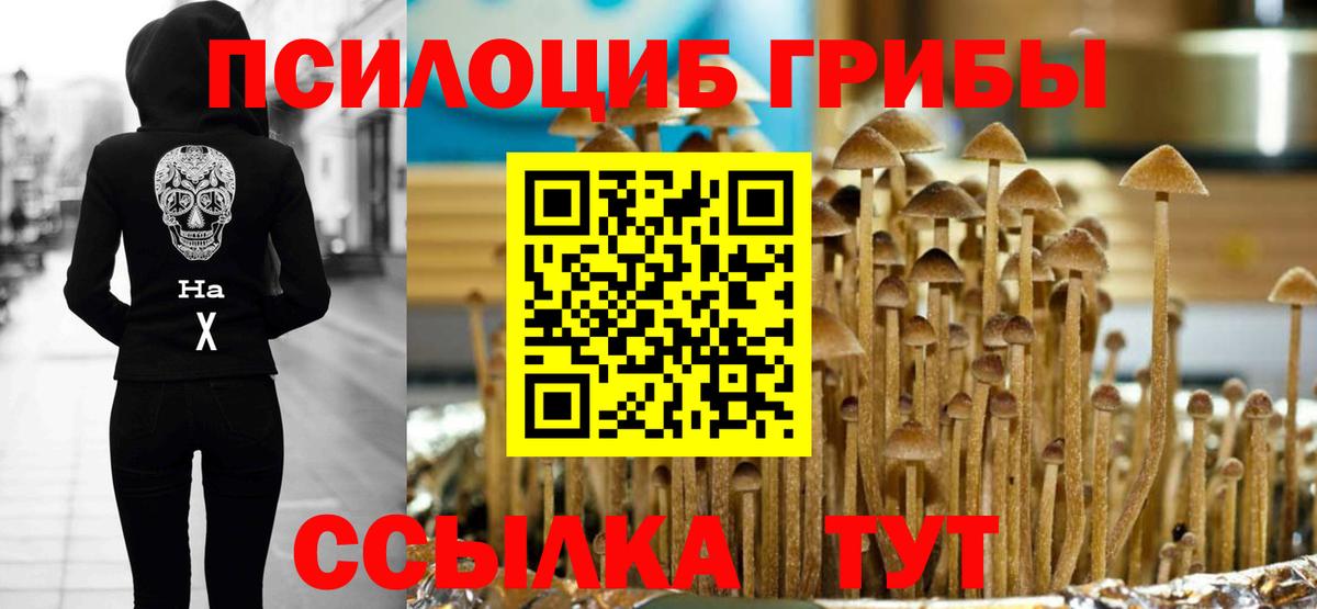 Анапа  Псилоцибиновые грибы Magic Shrooms  Вход с VPN 