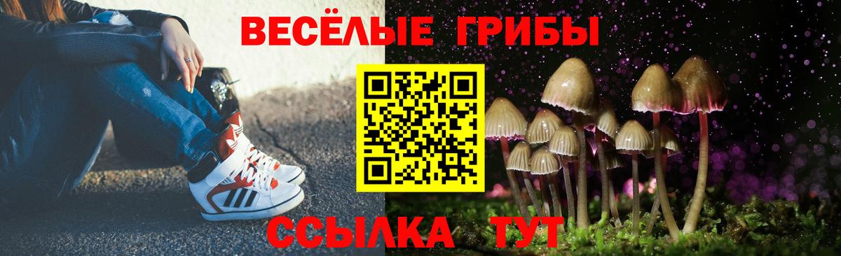 Псилоцибиновые грибы прущие грибы Анапа